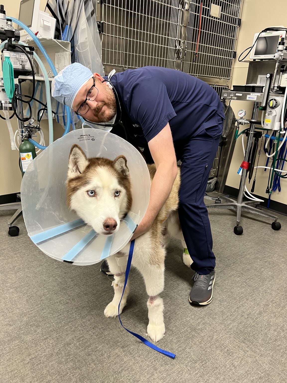 Dog Saved | OpenVet